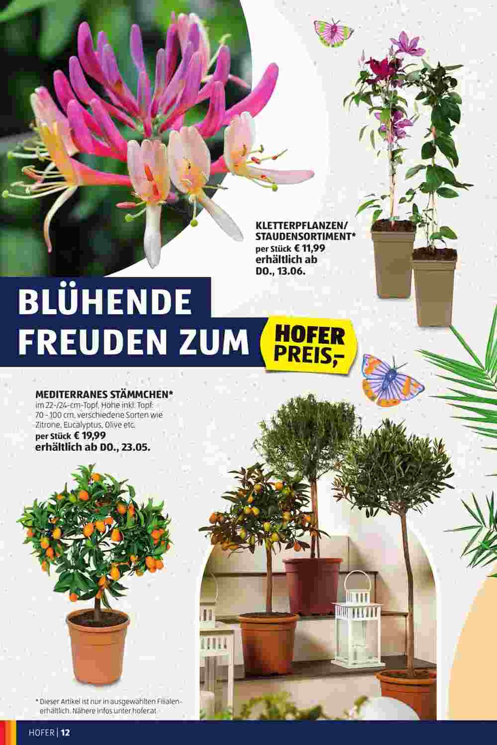 Hofer Flugblatt (ab 01.05.2024) - Angebote und Prospekt - Seite 12