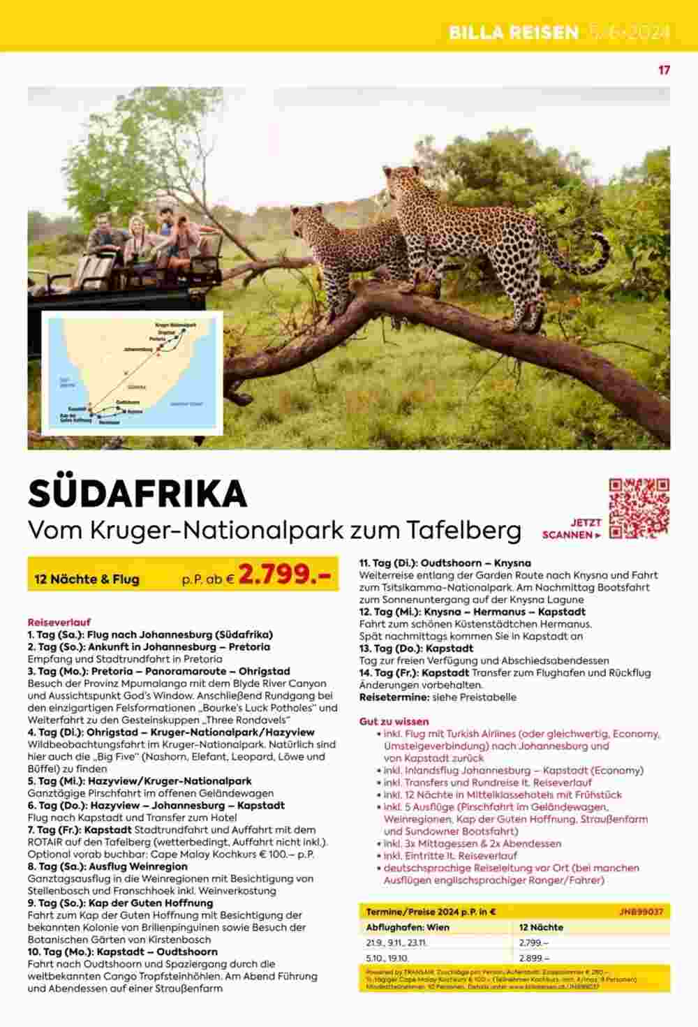 Billa Reisen Flugblatt (ab 14.05.2024) - Angebote und Prospekt - Seite 17