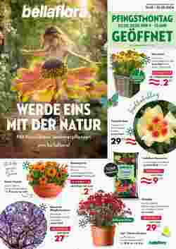 Bellaflora Flugblatt (ab 16.05.2024) - Angebote und Prospekt
