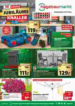 Liebmarkt Flugblatt (ab 02.06.2024) - Angebote und Prospekt