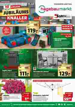 Hagebau Flugblatt (ab 03.06.2024) - Angebote und Prospekt