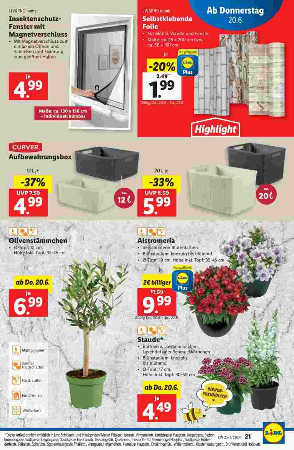 Lidl Flugblatt (ab 19.06.2024) - Angebote und Prospekt - Seite 21