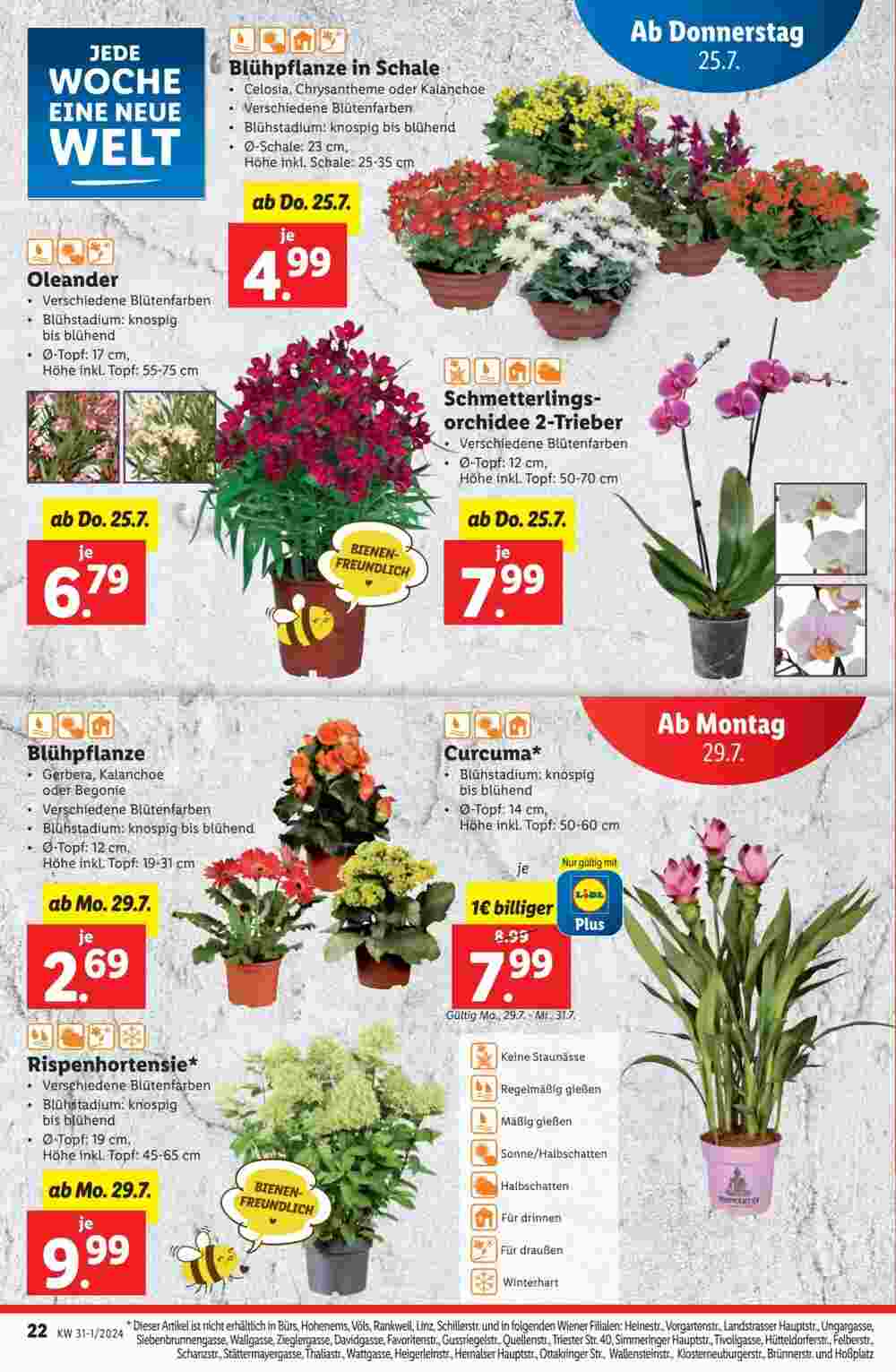 Lidl Flugblatt (ab 24.07.2024) - Angebote und Prospekt - Seite 22