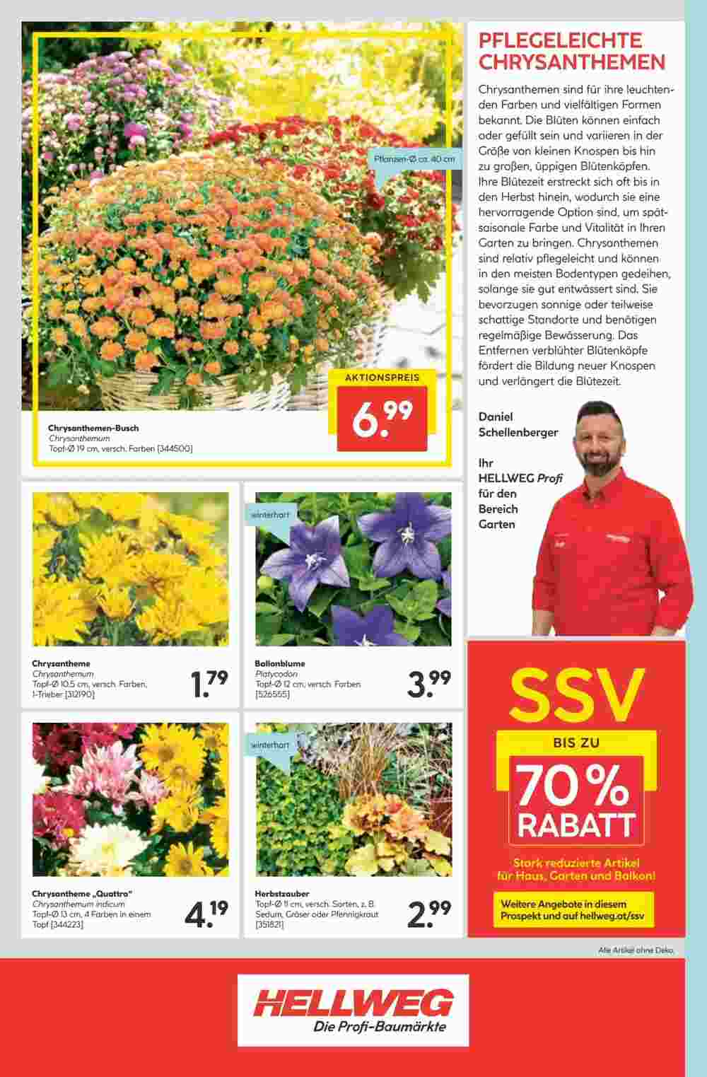 Hellweg Flugblatt (ab 24.07.2024) - Angebote und Prospekt - Seite 16