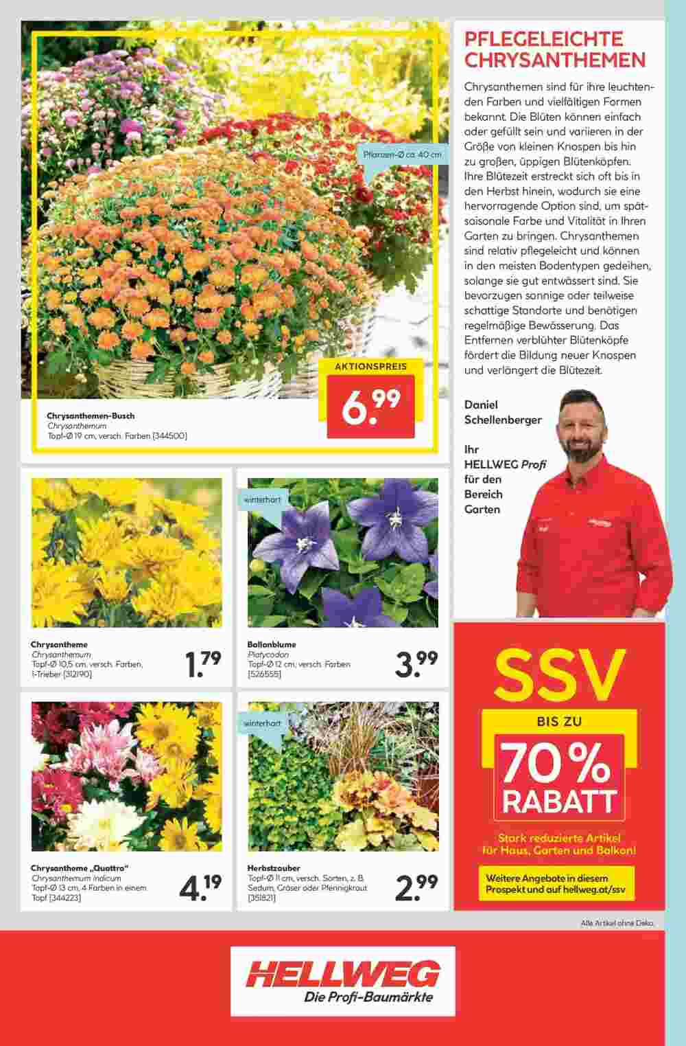 Hellweg Flugblatt (ab 25.07.2024) - Angebote und Prospekt - Seite 16