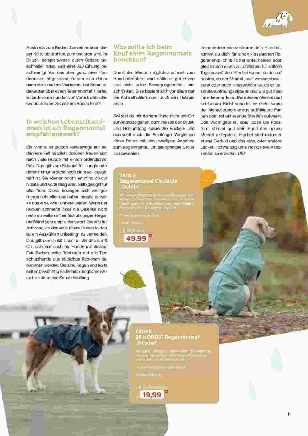 ZOO & Co Flugblatt (ab 30.08.2024) - Angebote und Prospekt - Seite 11