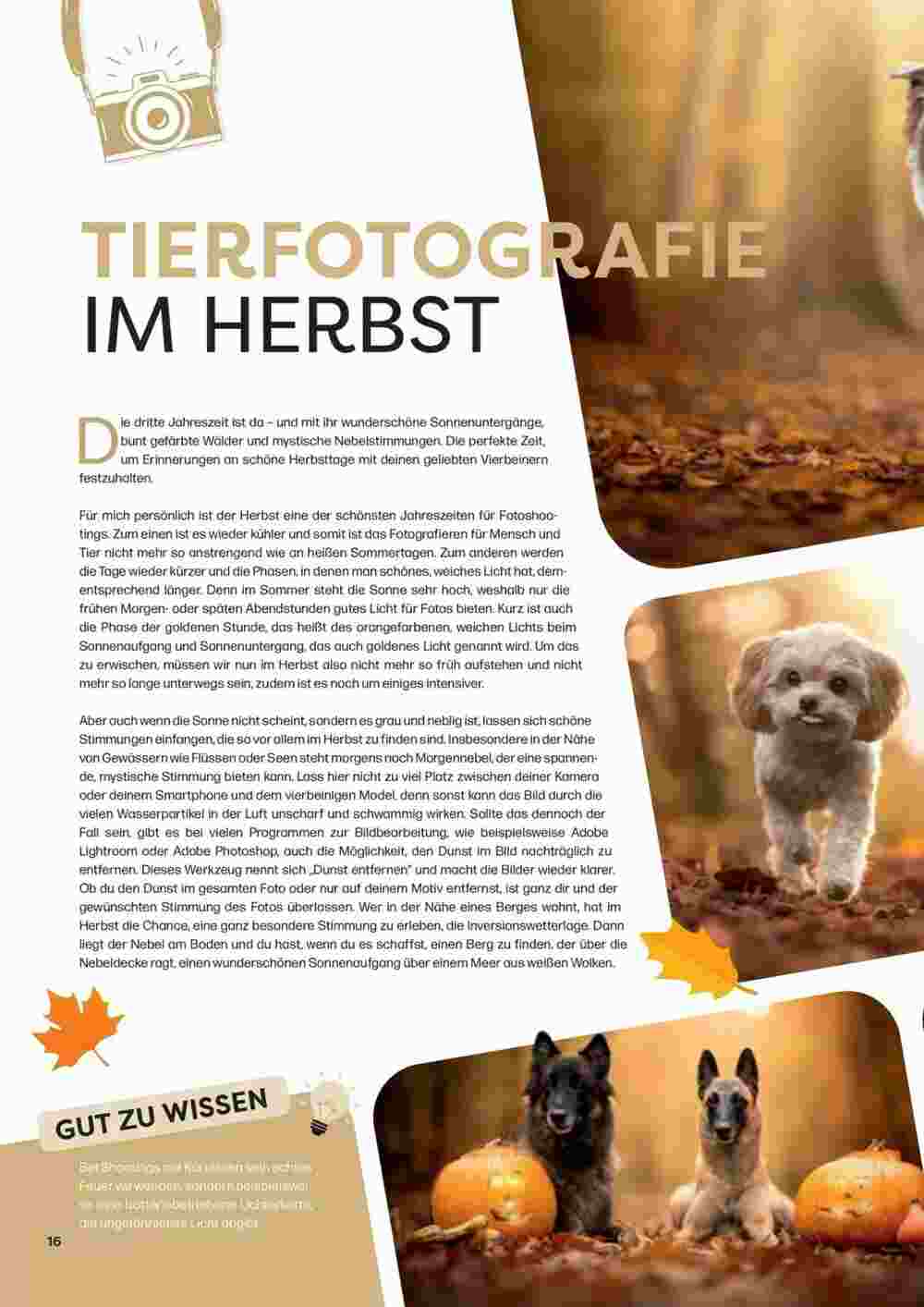 ZOO & Co Flugblatt (ab 30.08.2024) - Angebote und Prospekt - Seite 16