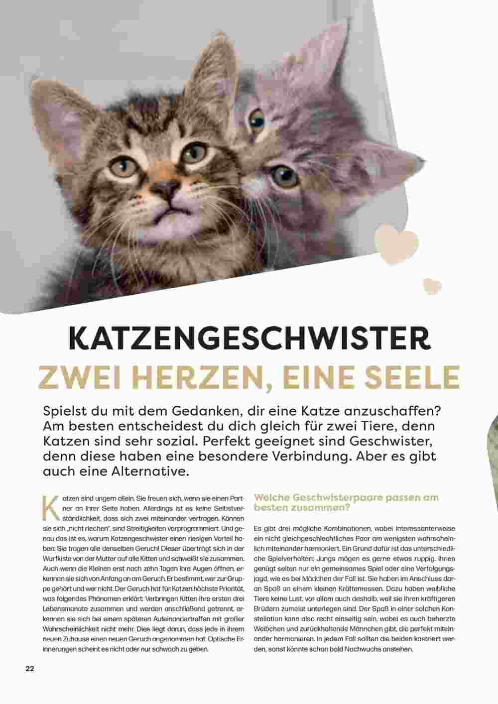 ZOO & Co Flugblatt (ab 30.08.2024) - Angebote und Prospekt - Seite 22