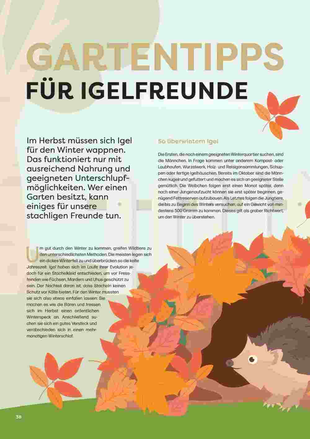 ZOO & Co Flugblatt (ab 30.08.2024) - Angebote und Prospekt - Seite 38