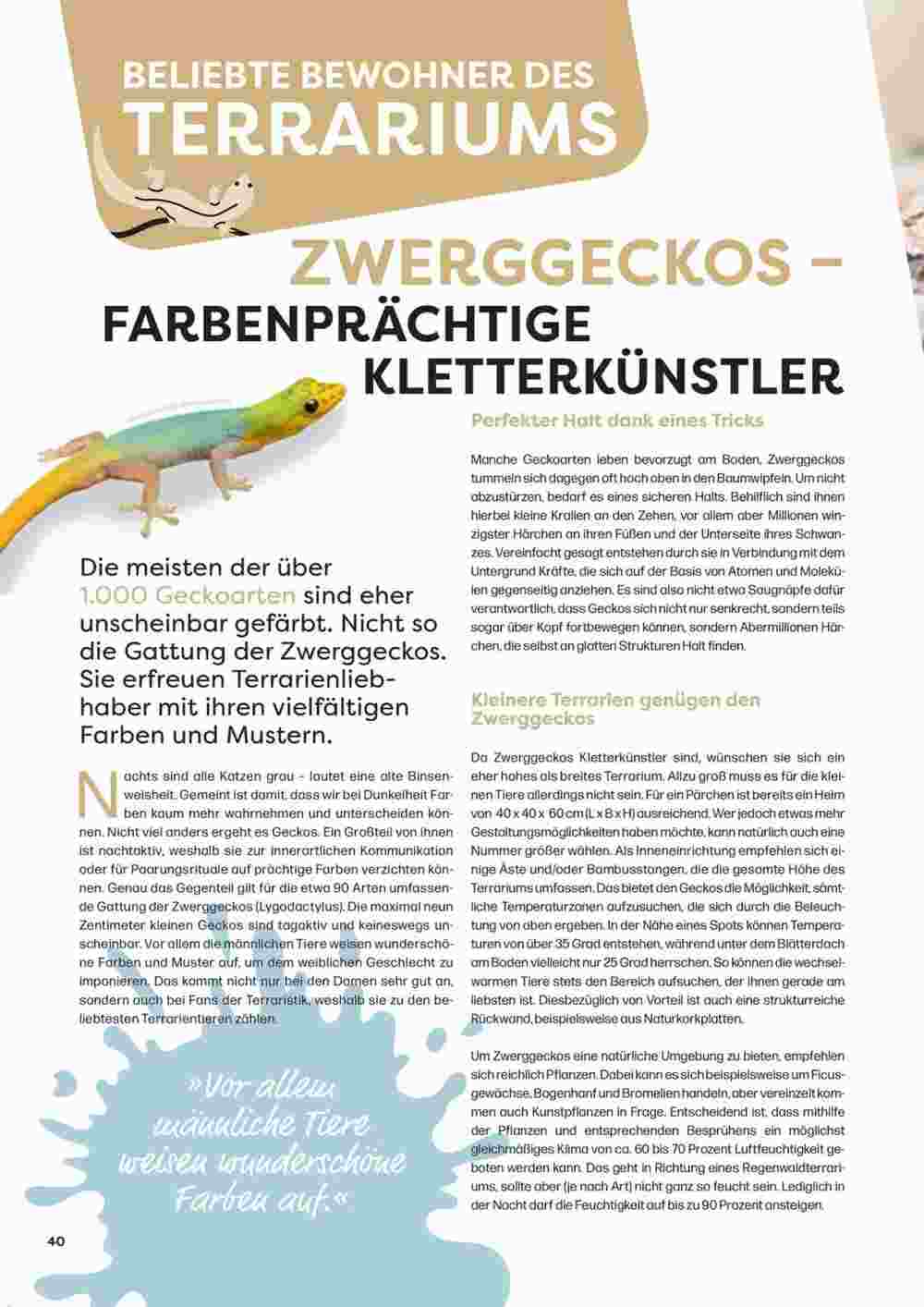 ZOO & Co Flugblatt (ab 30.08.2024) - Angebote und Prospekt - Seite 40