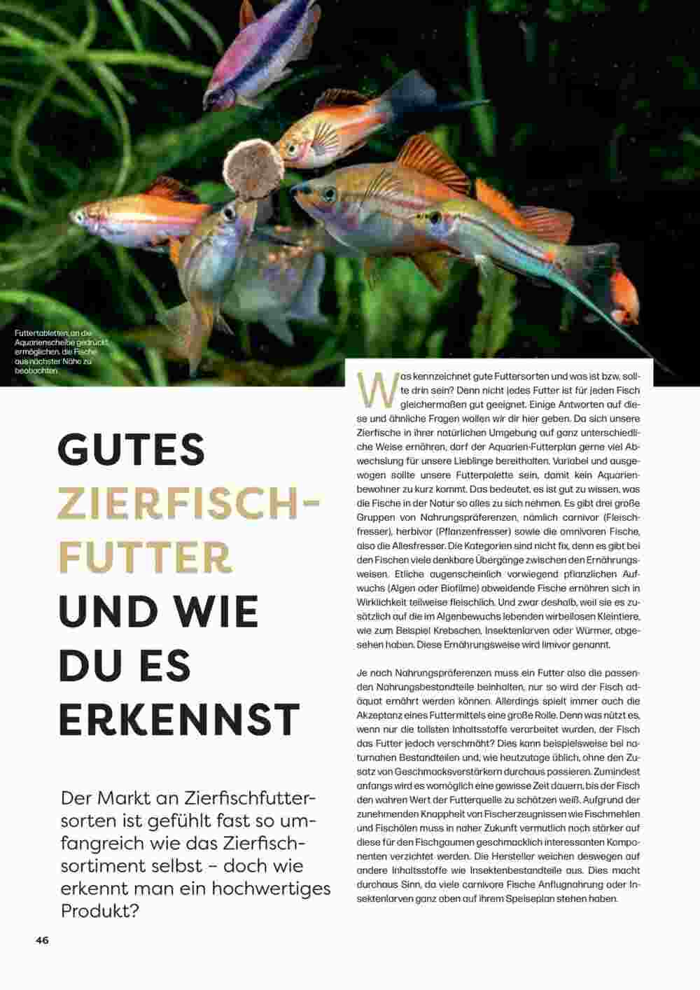 ZOO & Co Flugblatt (ab 30.08.2024) - Angebote und Prospekt - Seite 46