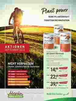 Martin Reformstark Flugblatt (ab 01.09.2024) - Angebote und Prospekt