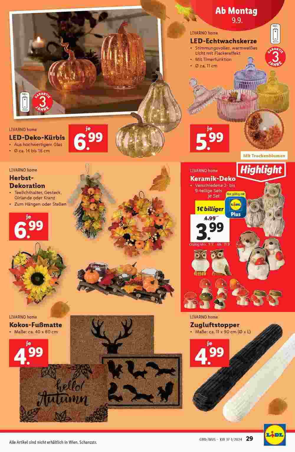 Lidl Flugblatt (ab 04.09.2024) - Angebote und Prospekt - Seite 33