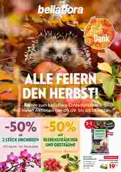 Bellaflora Flugblatt (ab 05.09.2024) - Angebote und Prospekt