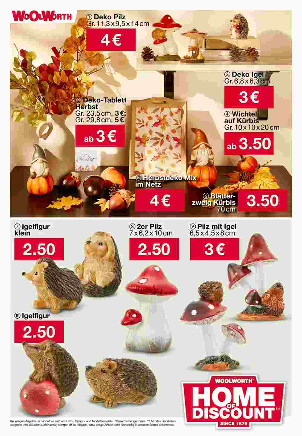 Woolworth Flugblatt (ab 05.09.2024) - Angebote und Prospekt - Seite 21