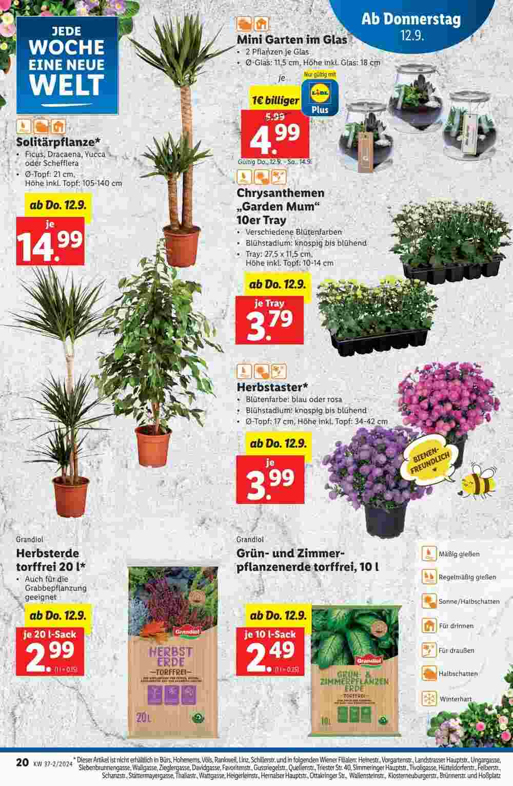 Lidl Flugblatt (ab 12.09.2024) - Angebote und Prospekt - Seite 22