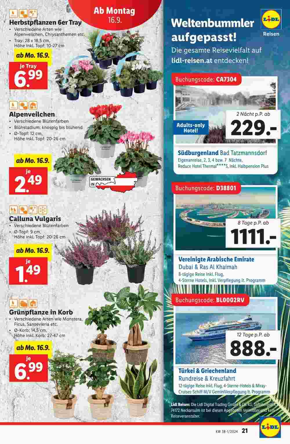 Lidl Flugblatt (ab 12.09.2024) - Angebote und Prospekt - Seite 23