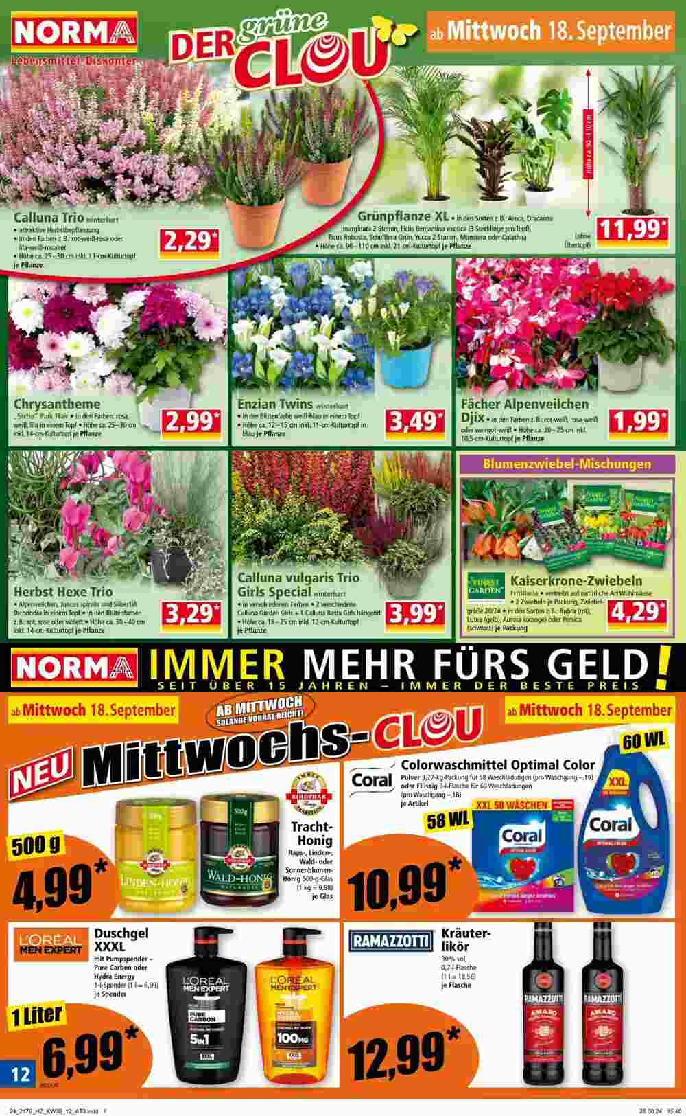 Norma Flugblatt (ab 16.09.2024) - Angebote und Prospekt - Seite 12