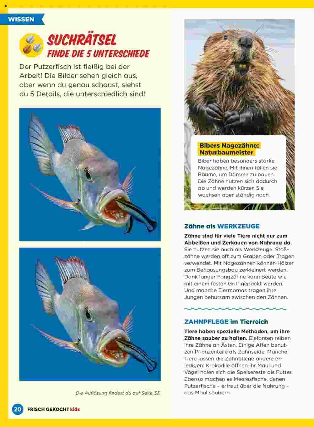 Billa Flugblatt (ab 26.09.2024) - Angebote und Prospekt - Seite 20