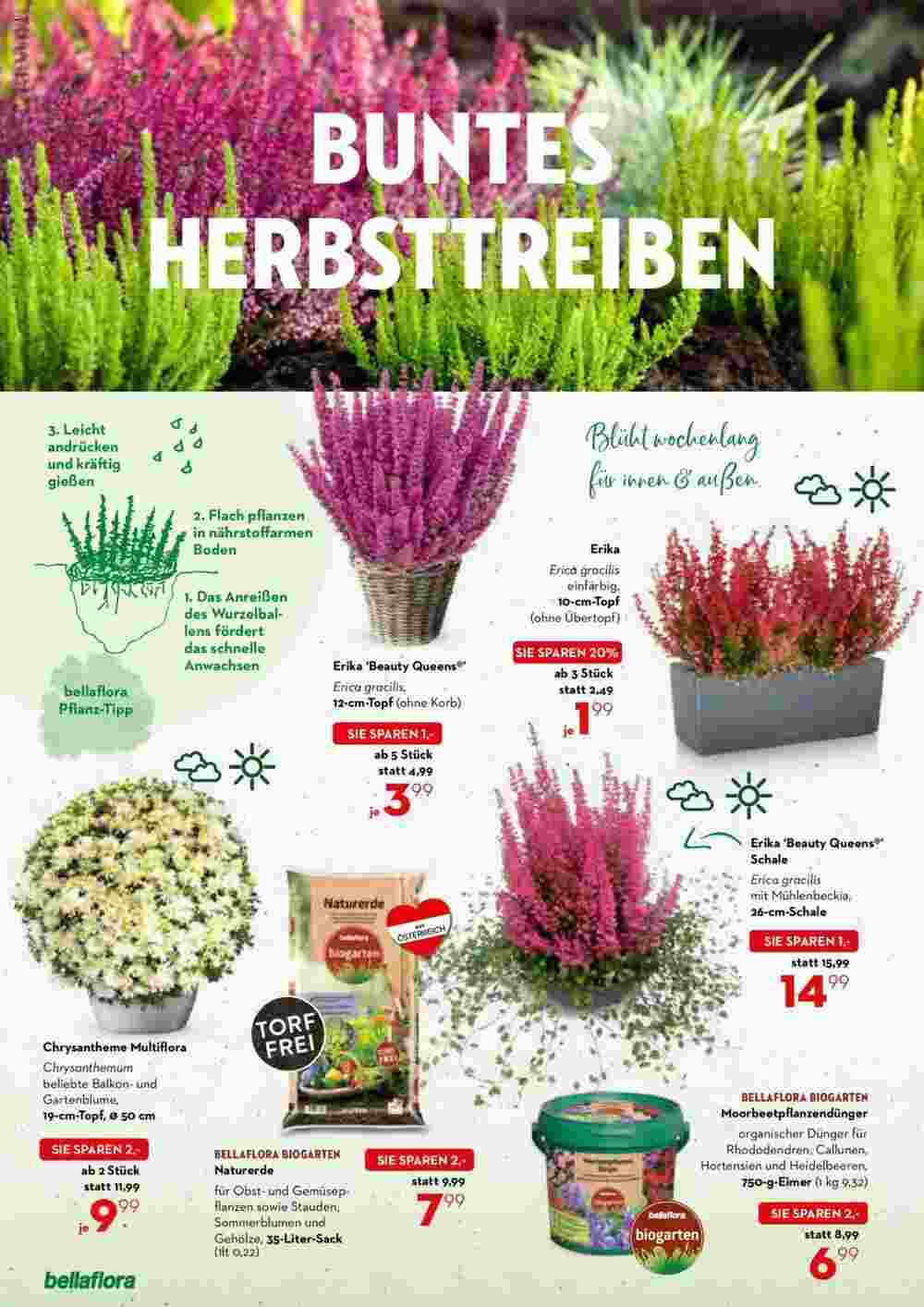 Bellaflora Flugblatt (ab 03.10.2024) - Angebote und Prospekt - Seite 2