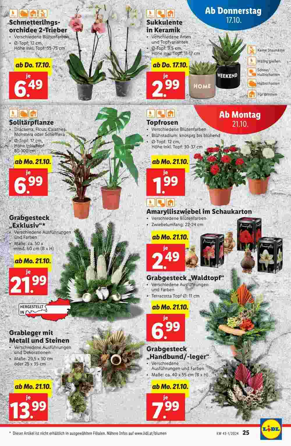 Lidl Flugblatt (ab 17.10.2024) - Angebote und Prospekt - Seite 27