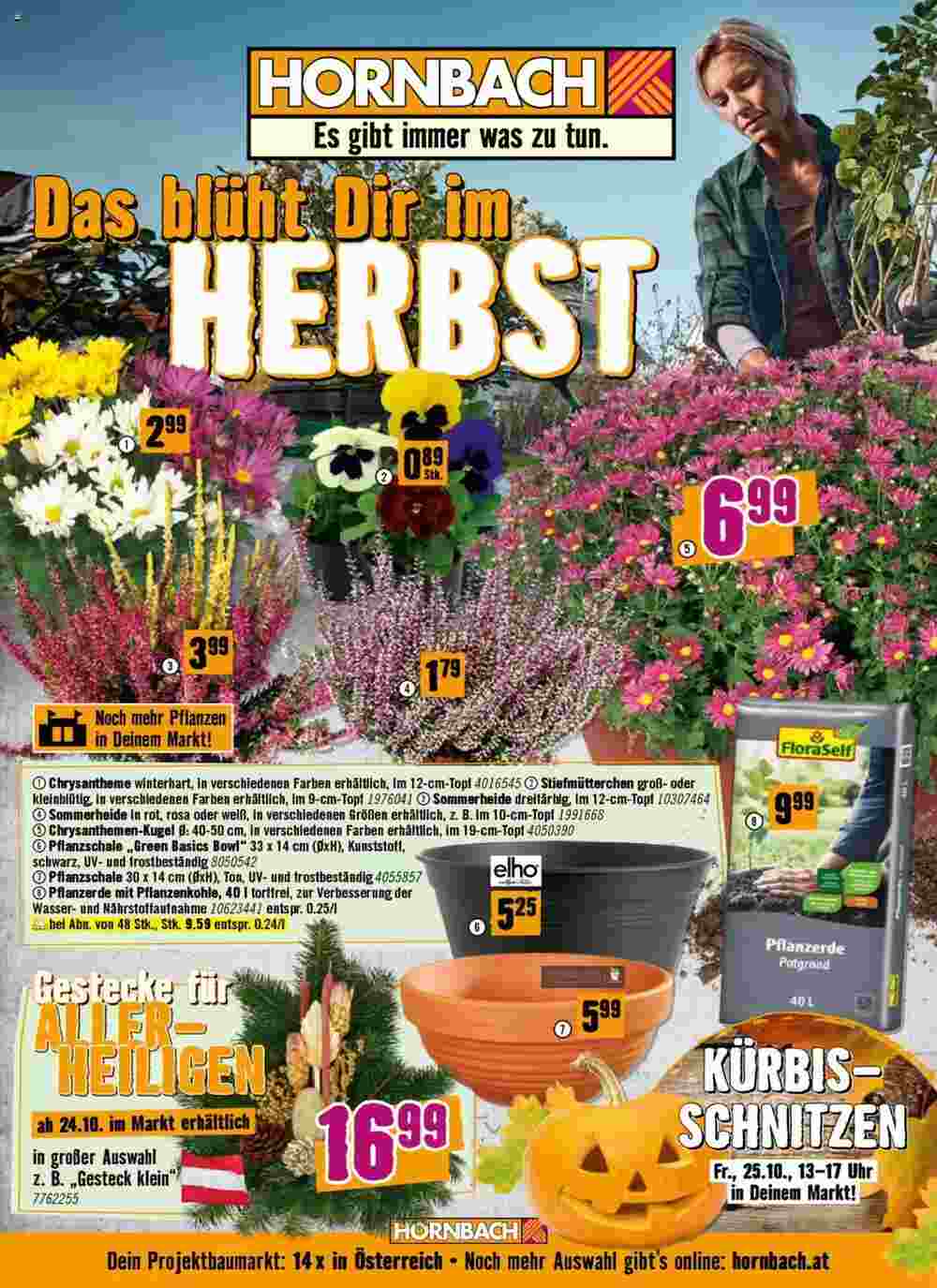 Hornbach Flugblatt (ab 17.10.2024) - Angebote und Prospekt - Seite 1