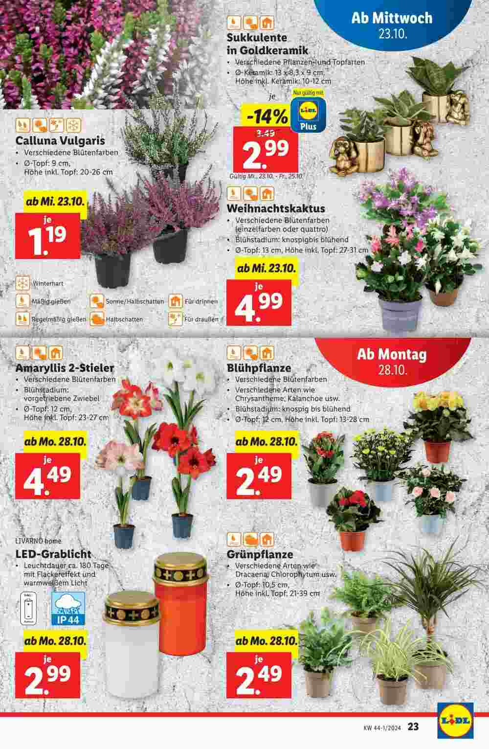 Lidl Flugblatt (ab 23.10.2024) - Angebote und Prospekt - Seite 23