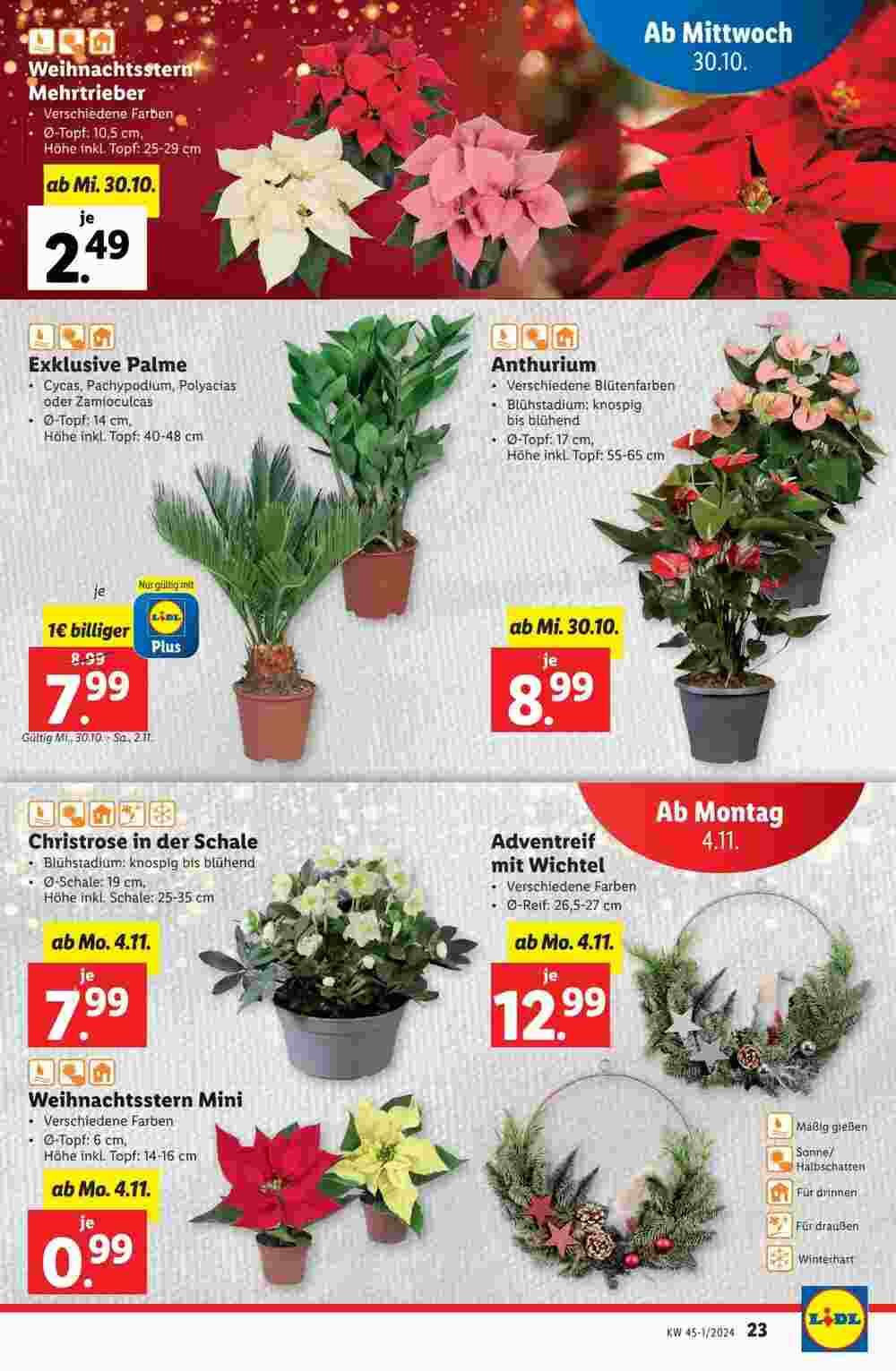 Lidl Flugblatt (ab 30.10.2024) - Angebote und Prospekt - Seite 23