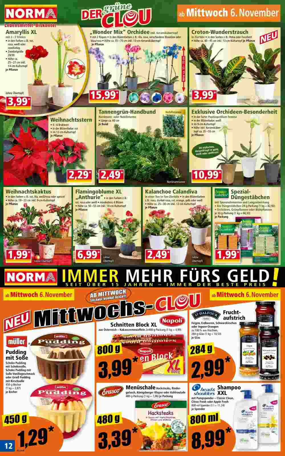 Norma Flugblatt (ab 04.11.2024) - Angebote und Prospekt - Seite 12