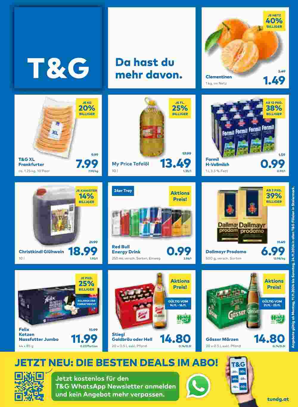 T&G Flugblatt (ab 11.11.2024) - Angebote und Prospekt - Seite 1