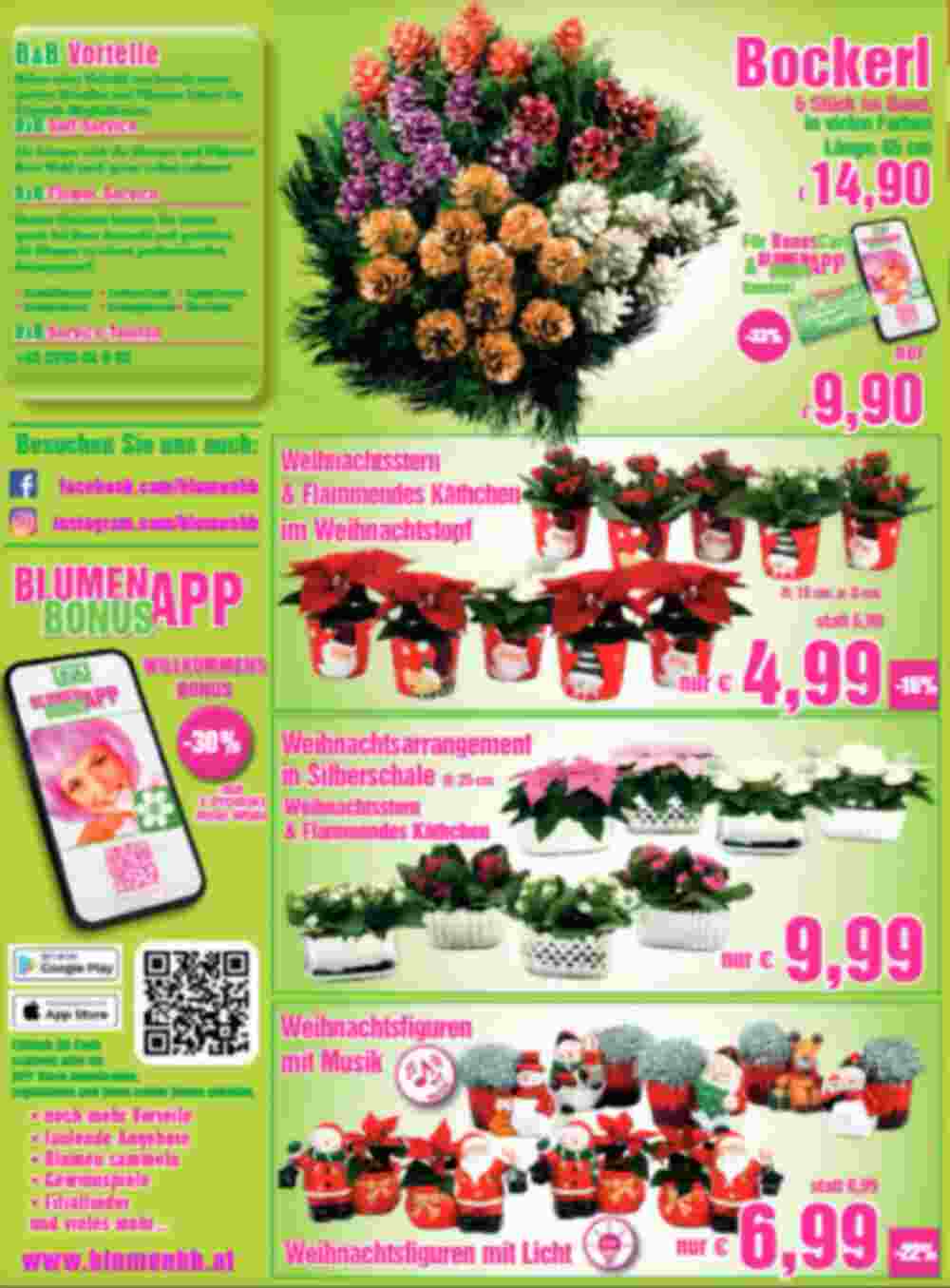 Blumen B&B Flugblatt (ab 15.11.2024) - Angebote und Prospekt - Seite 2