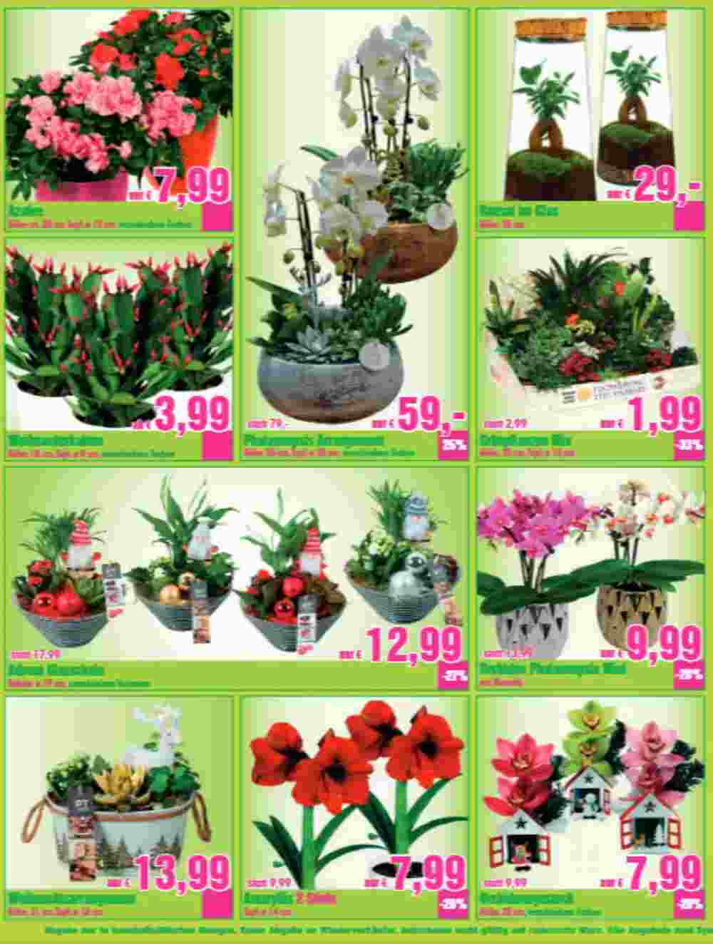 Blumen B&B Flugblatt (ab 15.11.2024) - Angebote und Prospekt - Seite 4