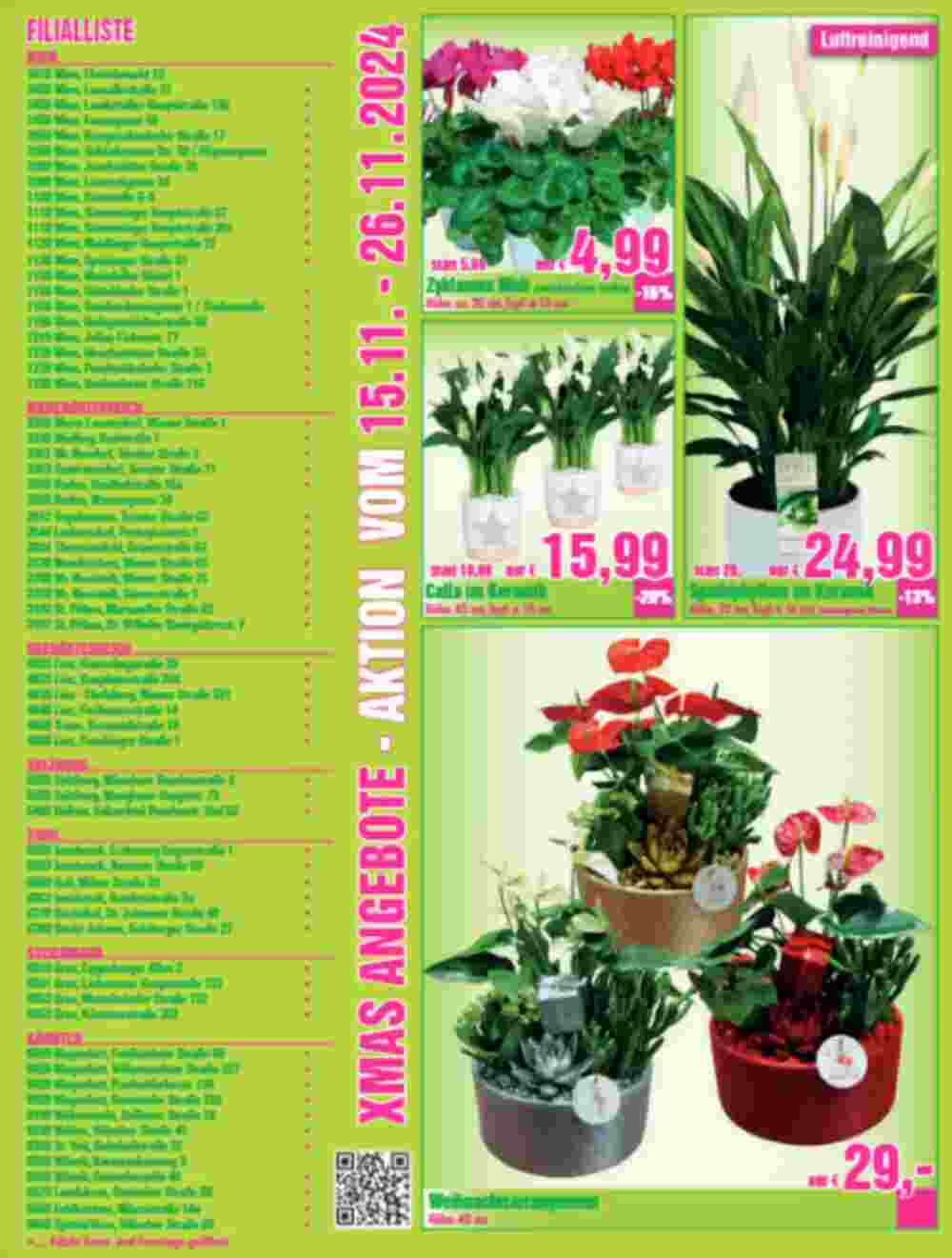 Blumen B&B Flugblatt (ab 15.11.2024) - Angebote und Prospekt - Seite 6