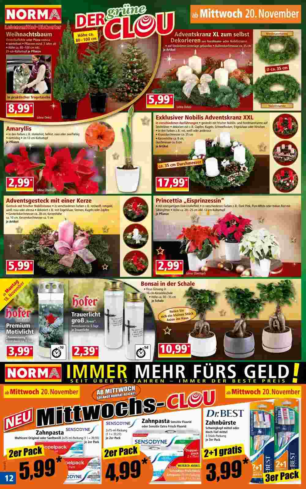 Norma Flugblatt (ab 18.11.2024) - Angebote und Prospekt - Seite 12