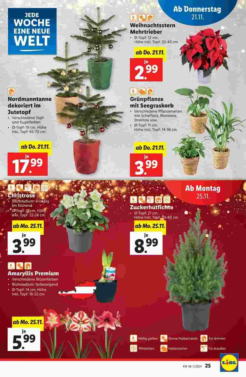 Lidl Flugblatt (ab 21.11.2024) - Angebote und Prospekt - Seite 27