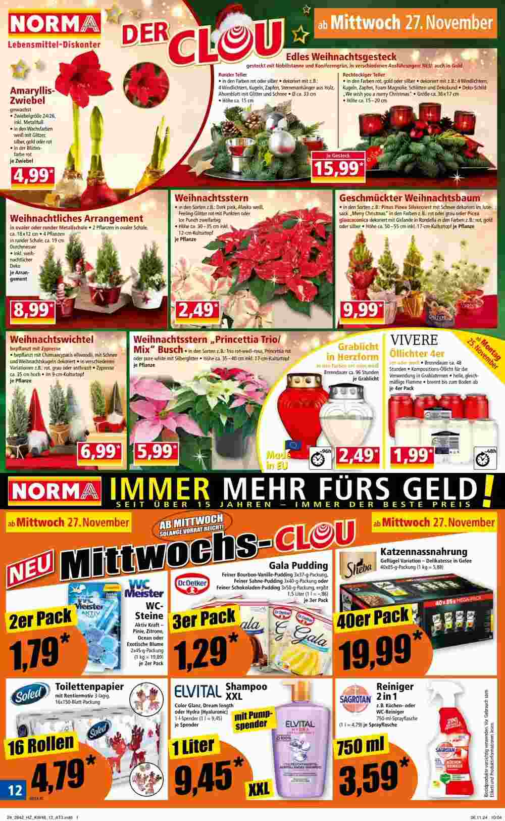 Norma Flugblatt (ab 25.11.2024) - Angebote und Prospekt - Seite 12