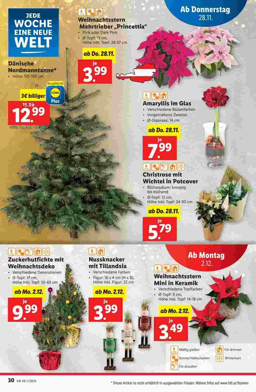 Lidl Flugblatt (ab 28.11.2024) - Angebote und Prospekt - Seite 30