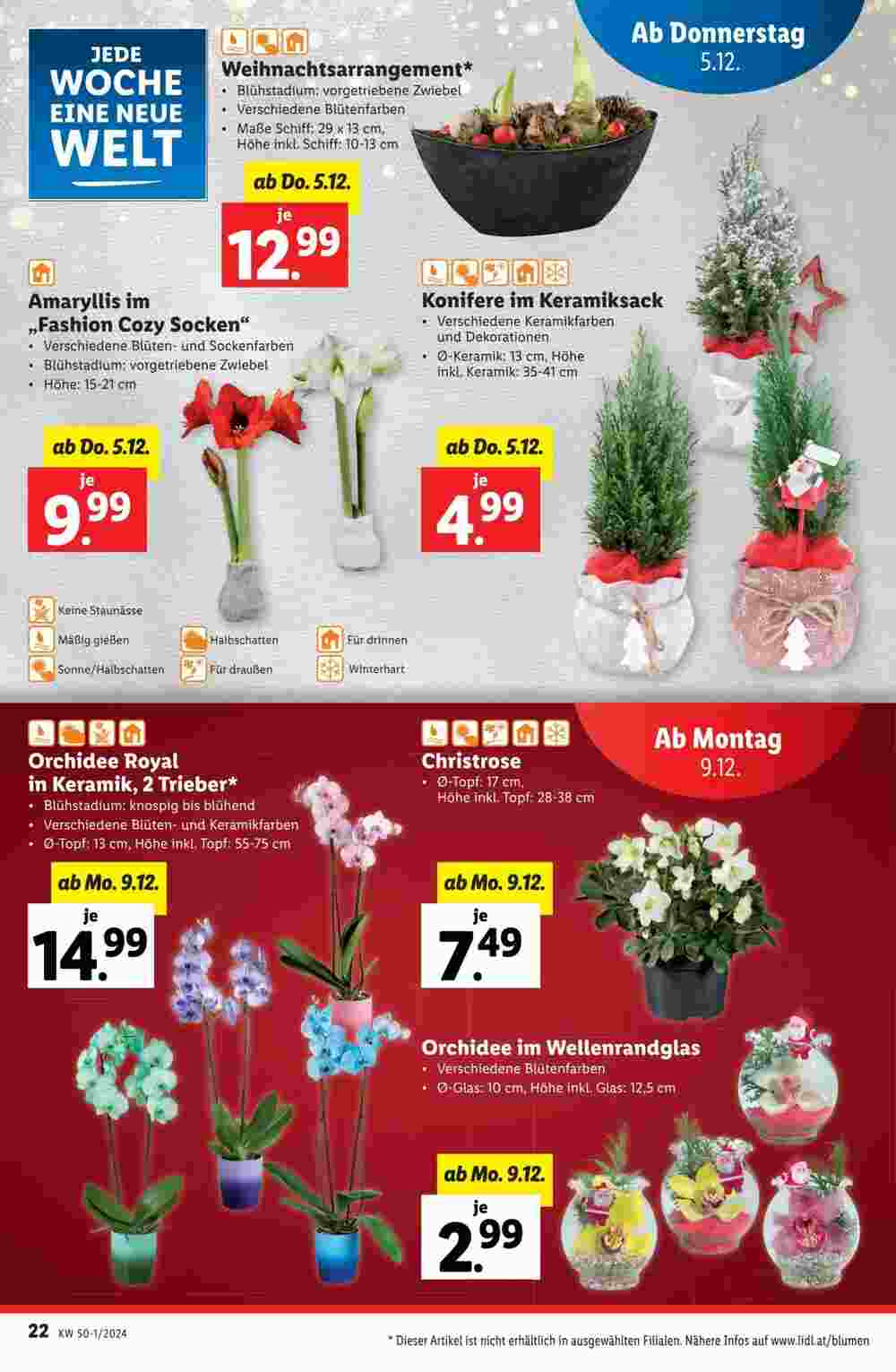 Lidl Flugblatt (ab 05.12.2024) - Angebote und Prospekt - Seite 22