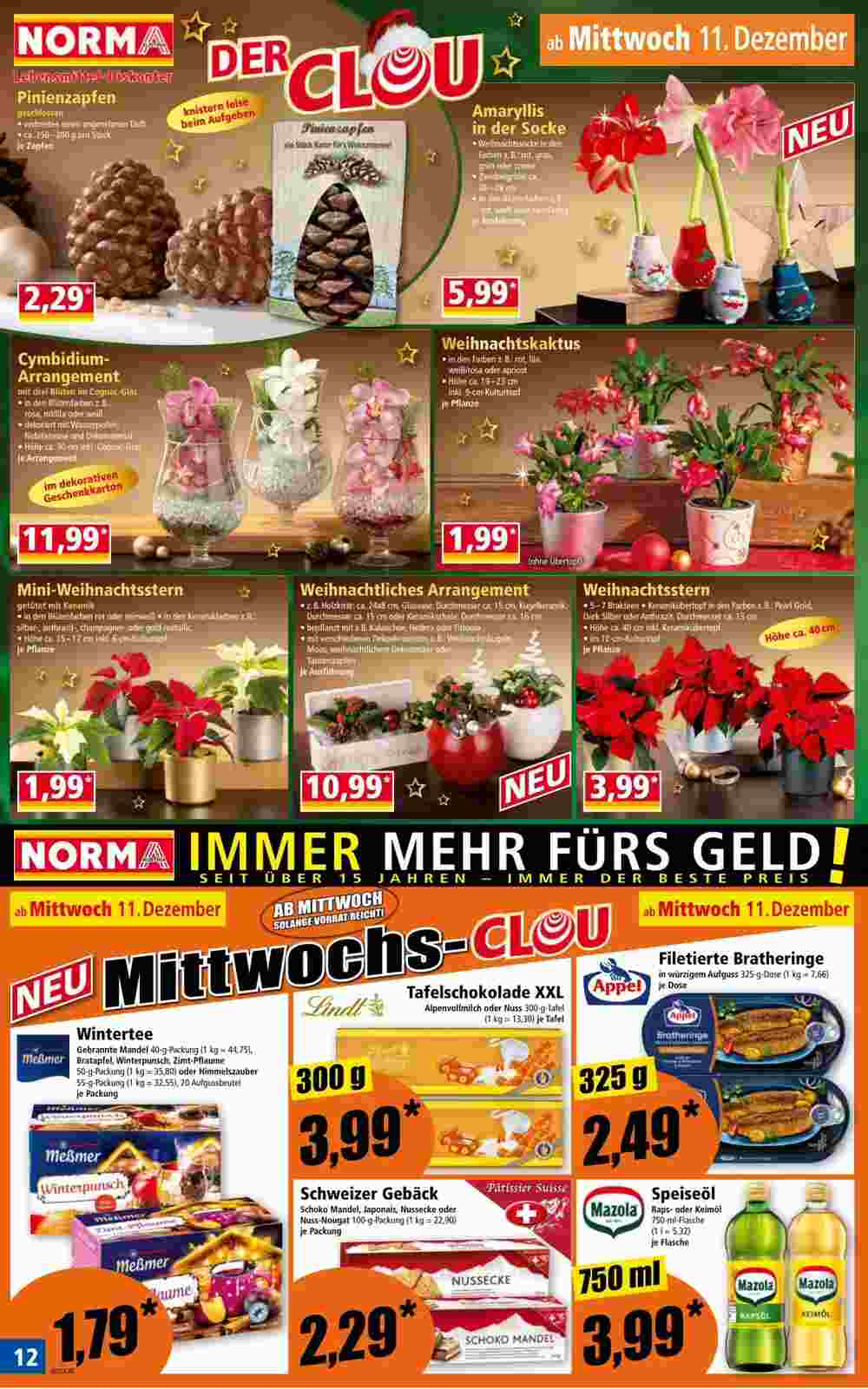 Norma Flugblatt (ab 09.12.2024) - Angebote und Prospekt - Seite 12