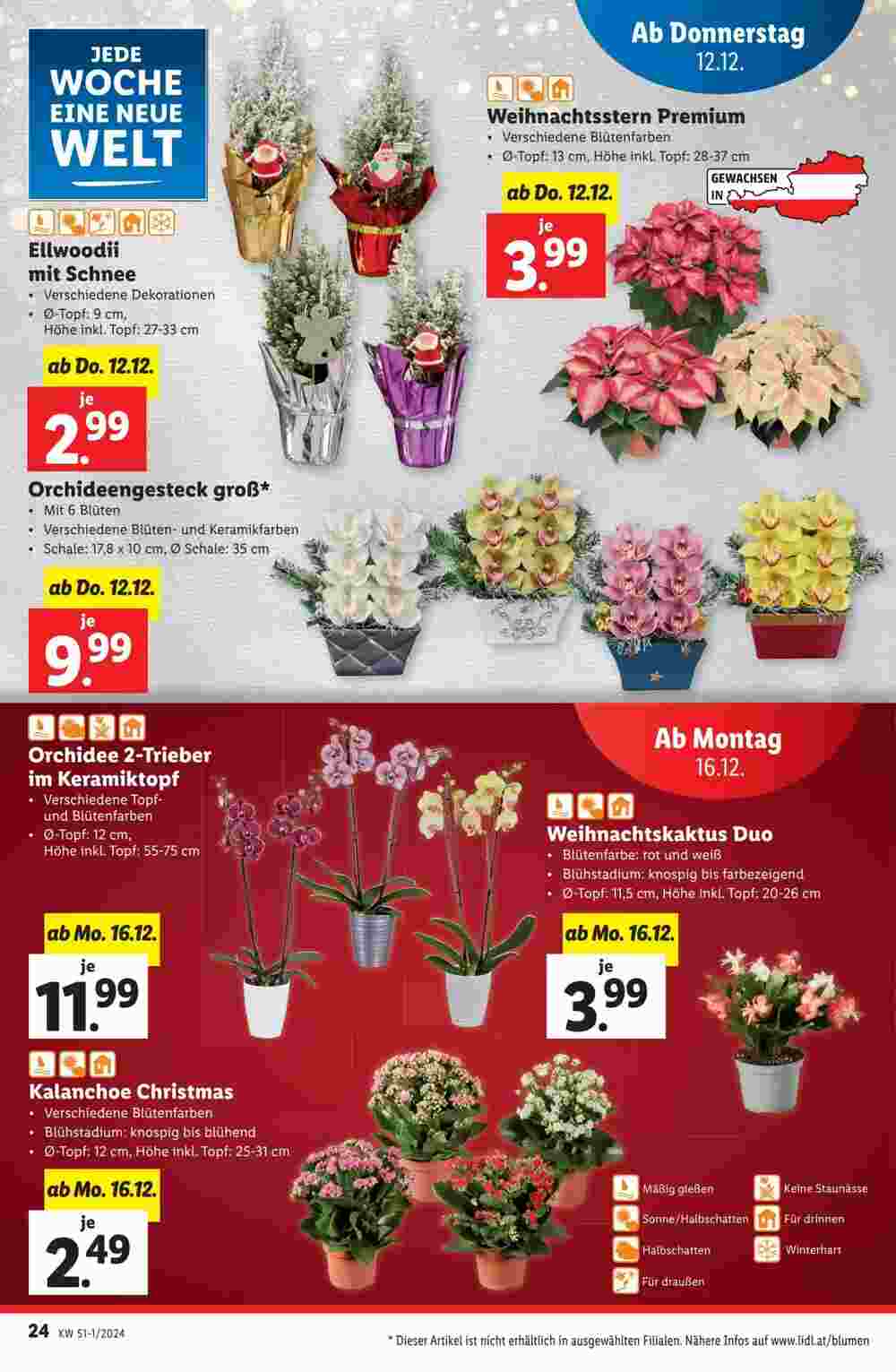 Lidl Flugblatt (ab 12.12.2024) - Angebote und Prospekt - Seite 24