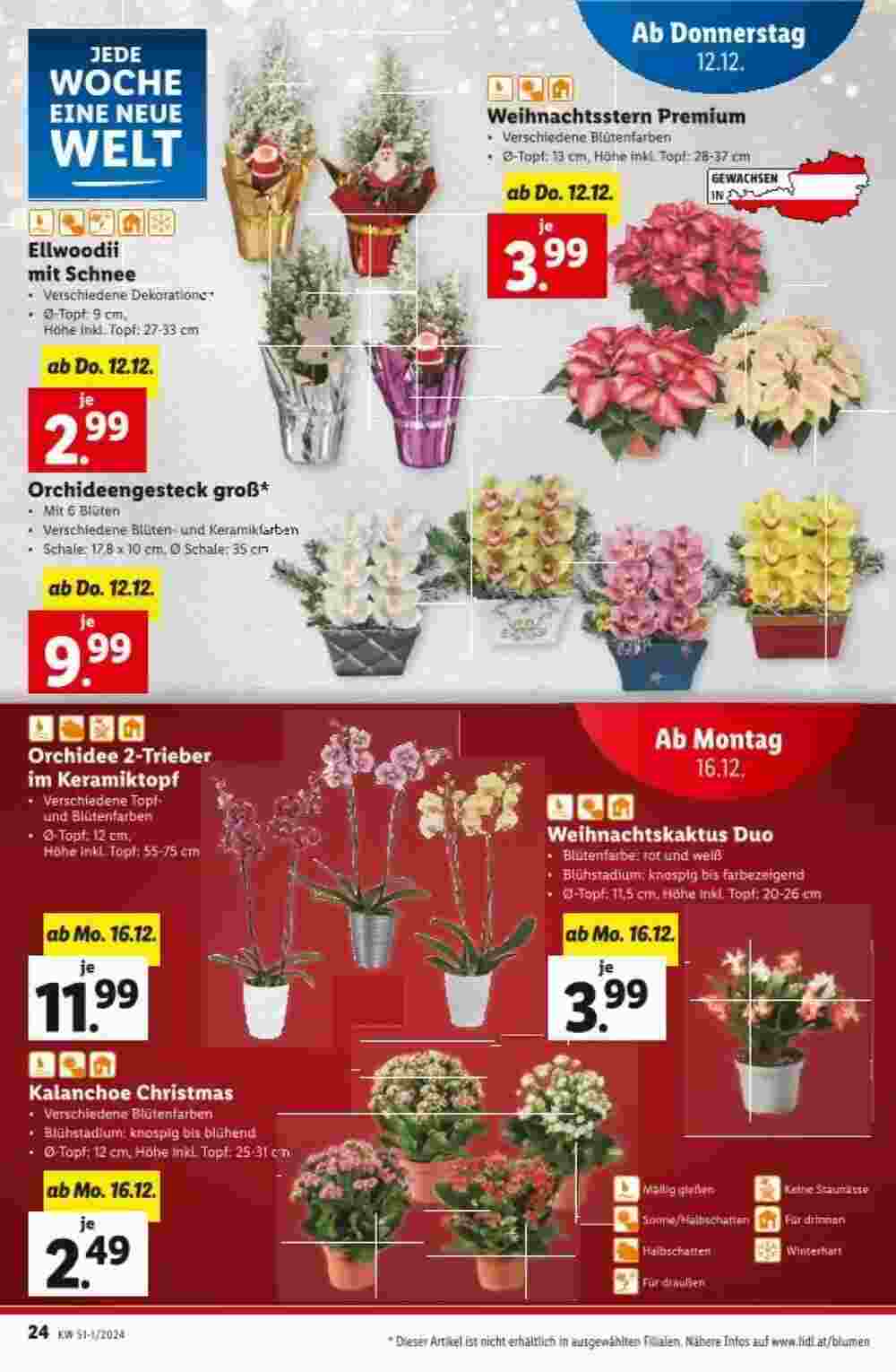 Lidl Flugblatt (ab 12.12.2024) - Angebote und Prospekt - Seite 25