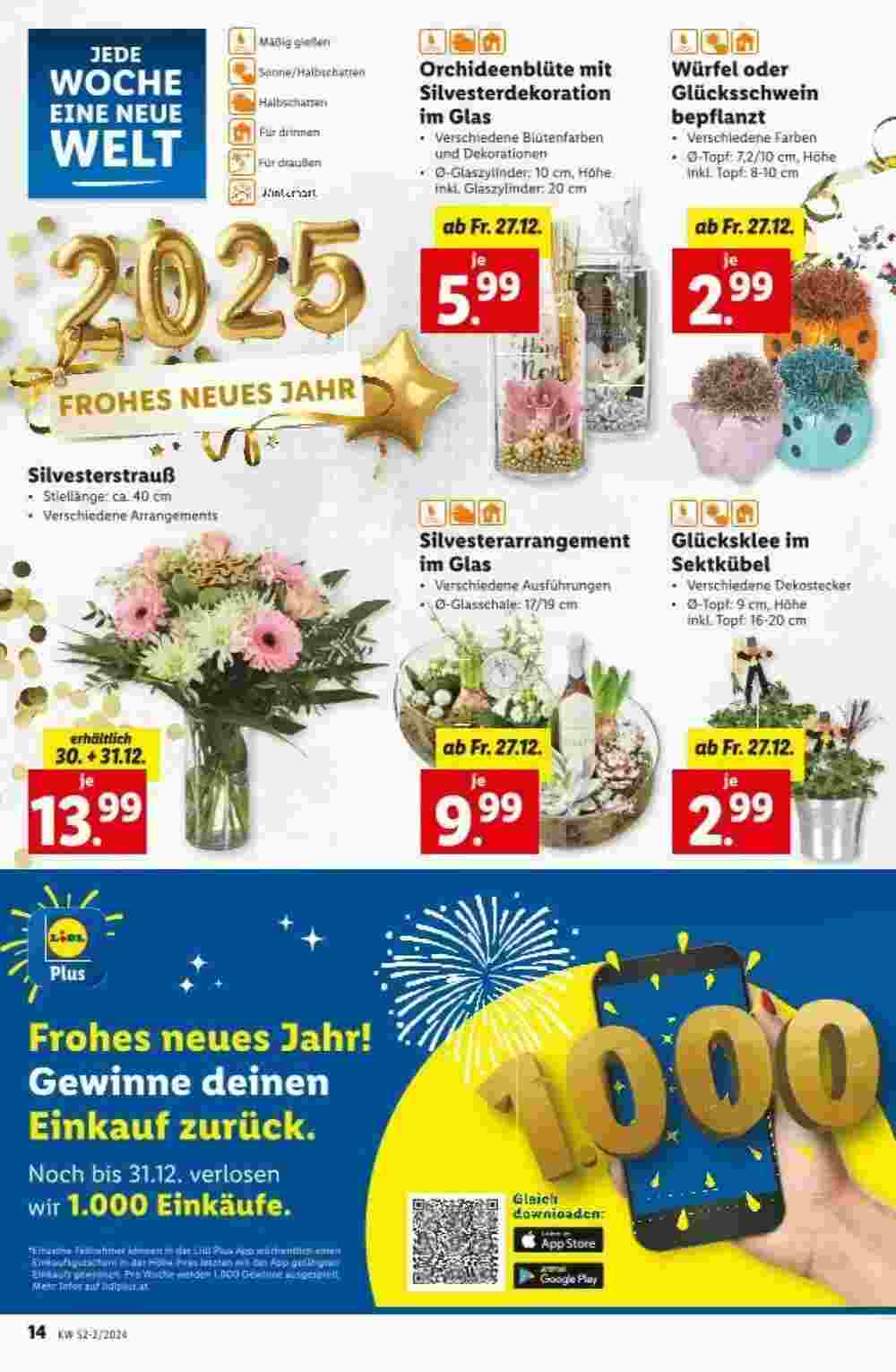 Lidl Flugblatt (ab 27.12.2024) - Angebote und Prospekt - Seite 15