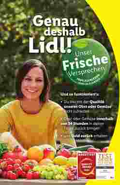 Lidl Flugblatt (ab 30.12.2024) - Angebote und Prospekt