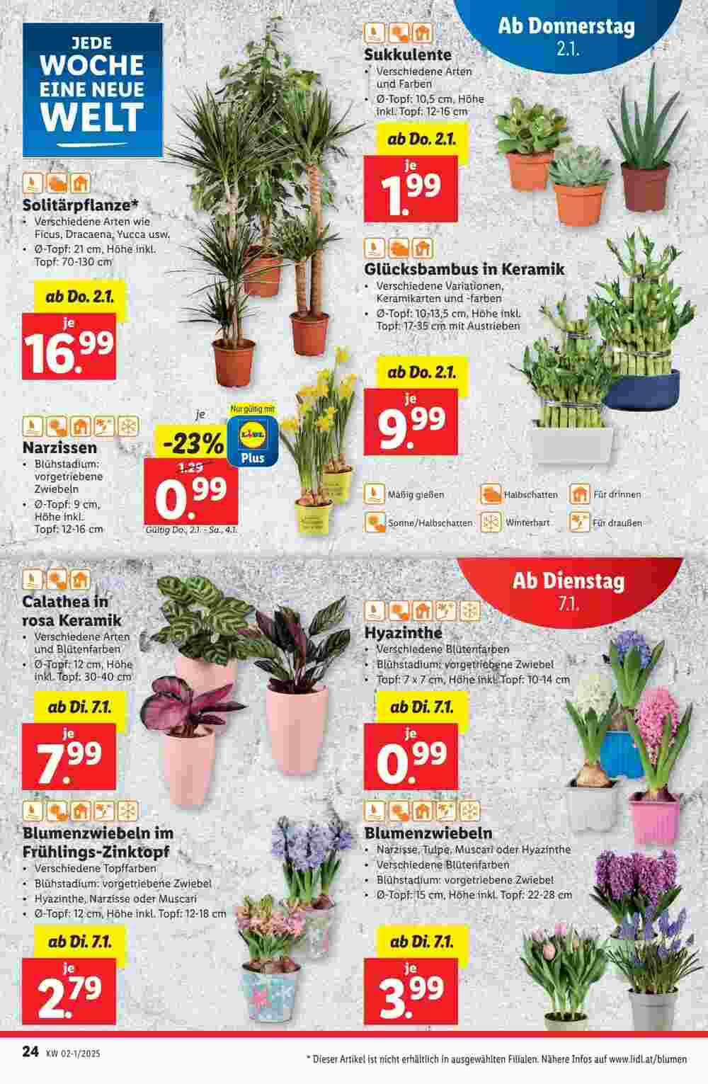 Lidl Flugblatt (ab 02.01.2025) - Angebote und Prospekt - Seite 24