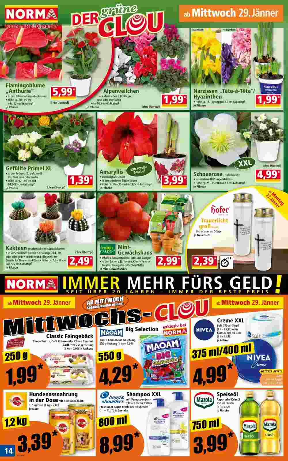 Norma Flugblatt (ab 27.01.2025) - Angebote und Prospekt - Seite 14