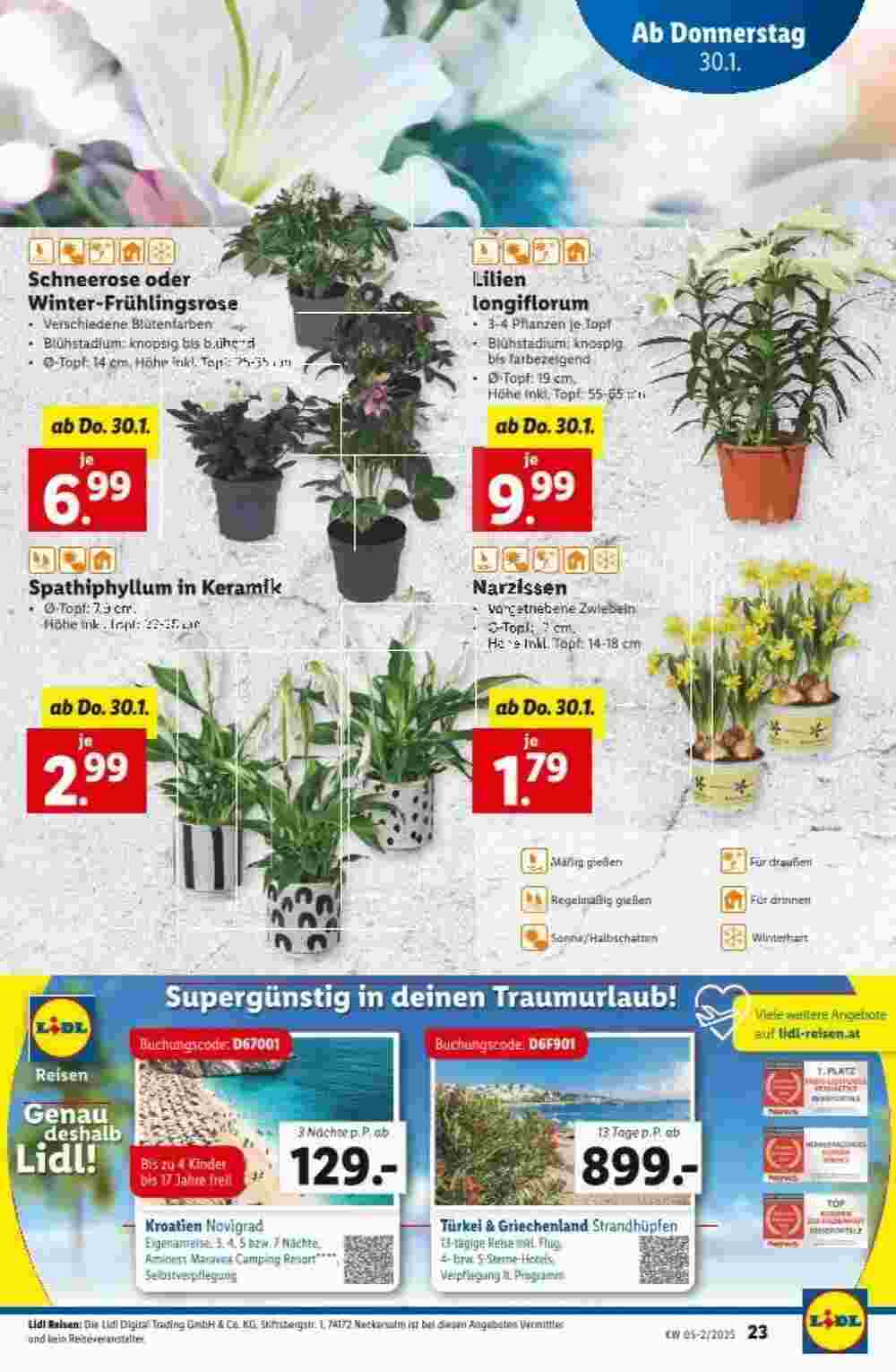 Lidl Flugblatt (ab 30.01.2025) - Angebote und Prospekt - Seite 26