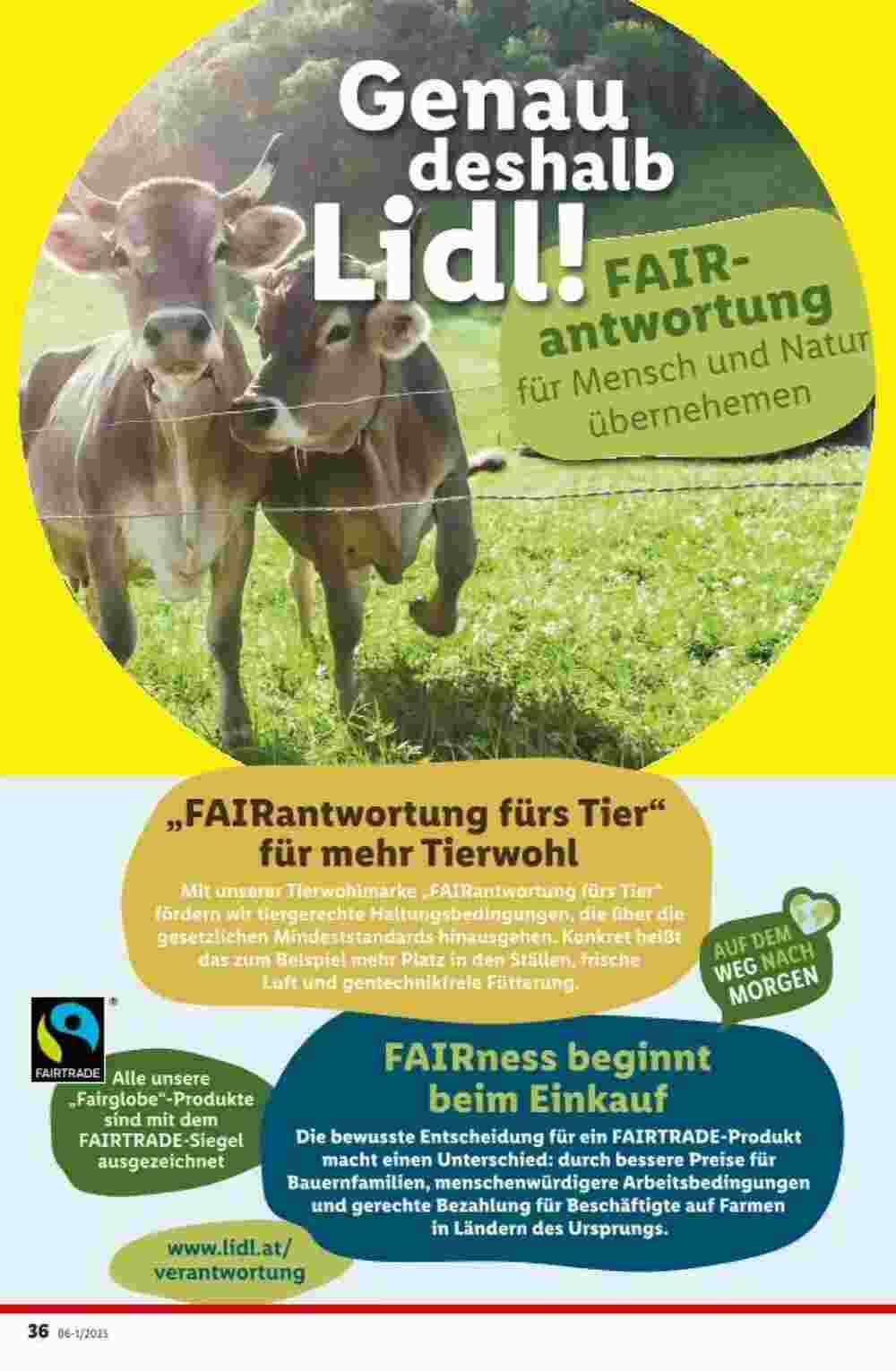 Lidl Flugblatt (ab 30.01.2025) - Angebote und Prospekt - Seite 41