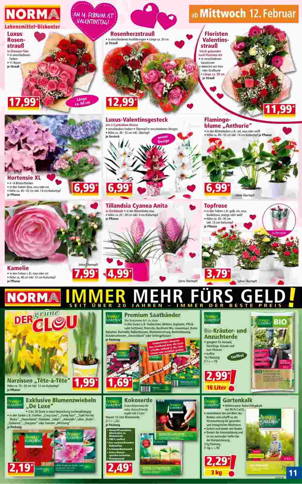 Norma Flugblatt (ab 10.02.2025) - Angebote und Prospekt - Seite 11