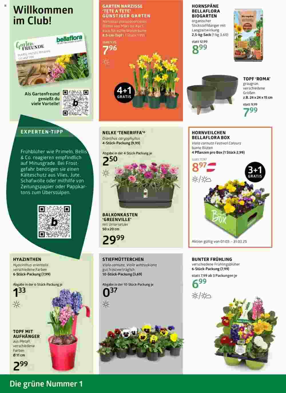 Bellaflora Flugblatt (ab 06.03.2025) - Angebote und Prospekt - Seite 2