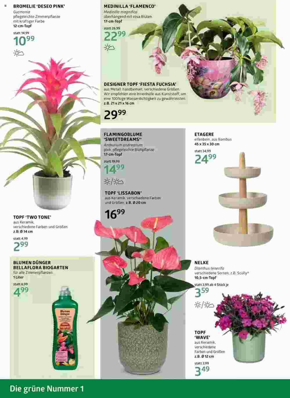 Bellaflora Flugblatt (ab 06.03.2025) - Angebote und Prospekt - Seite 6